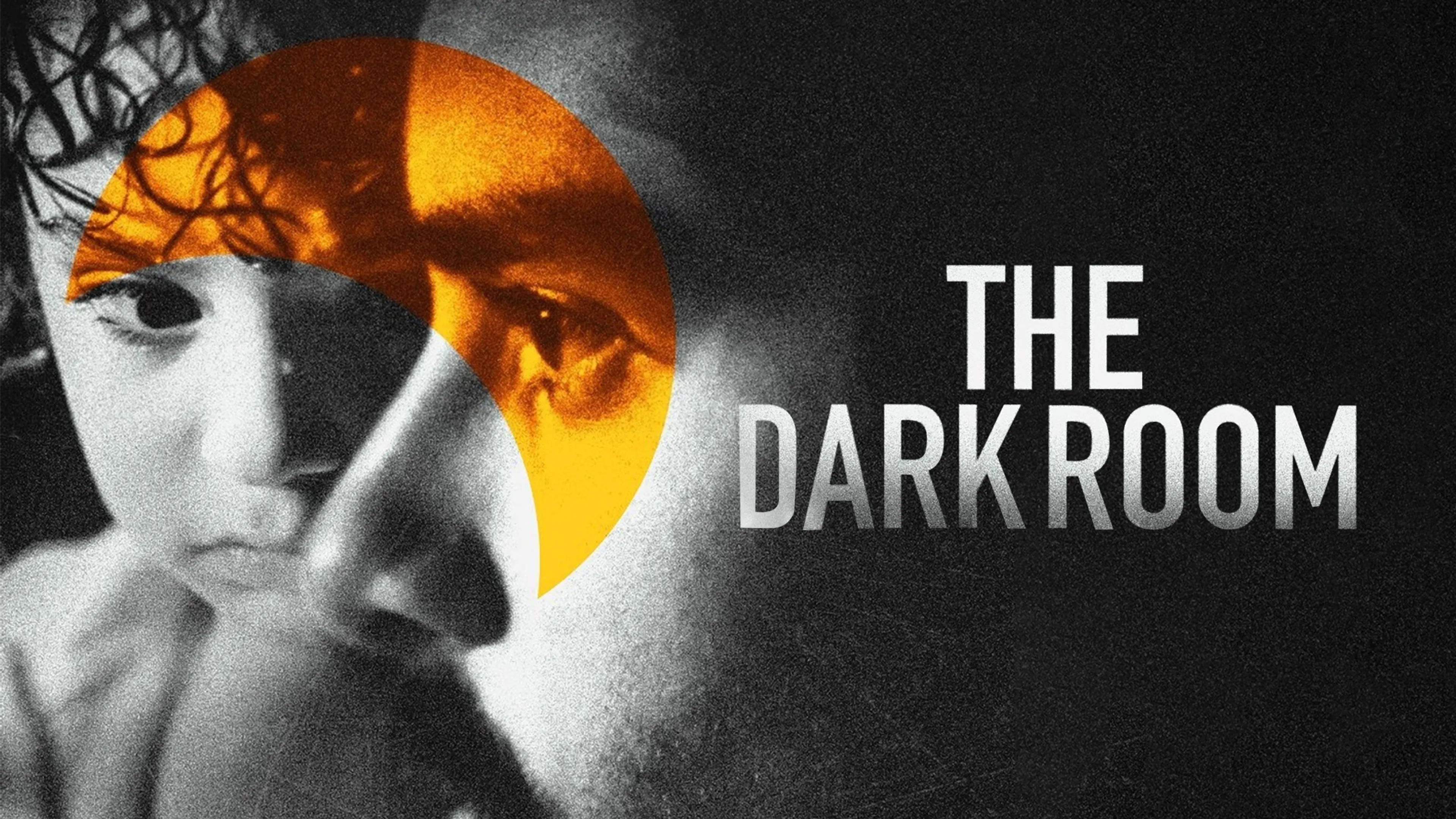 The Dark Room poster